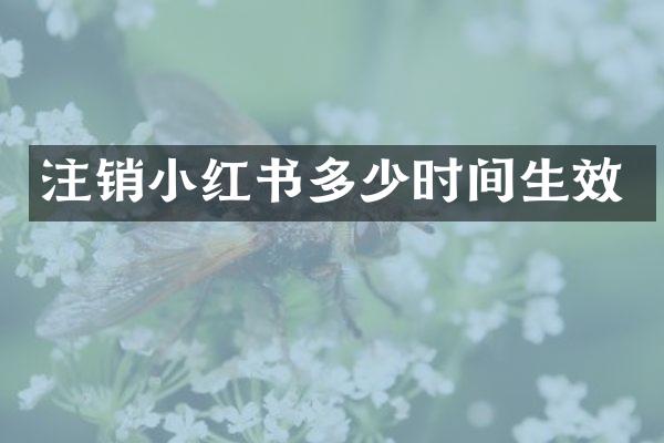 注销小红书多少时间生效