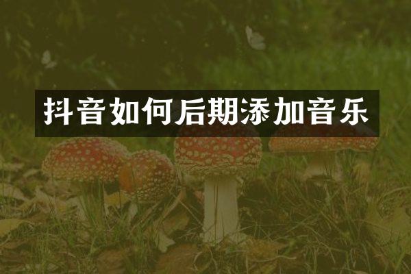 抖音如何后期添加音乐