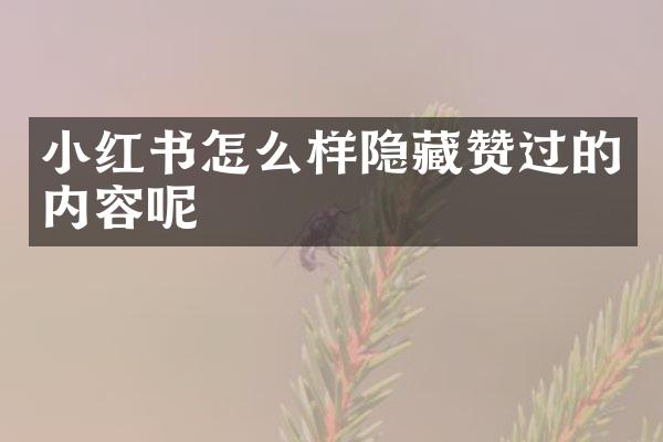 小红书怎么样隐藏赞过的内容呢