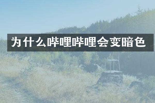 为什么哔哩哔哩会变暗色