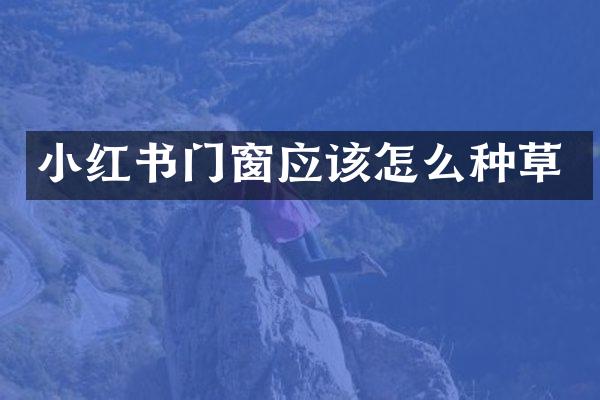 小红书门窗应该怎么种草