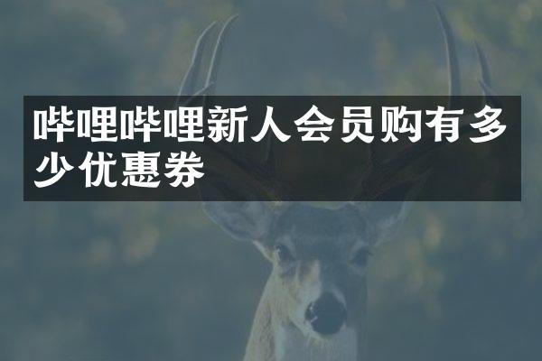 哔哩哔哩新人会员购有多少优惠券