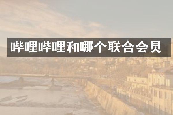 哔哩哔哩和哪个联合会员
