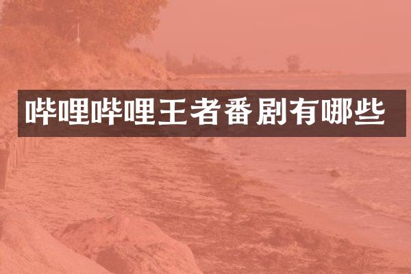 哔哩哔哩王者番剧有哪些