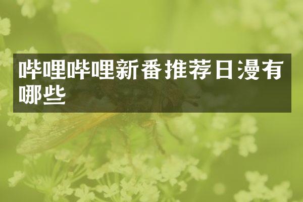 哔哩哔哩新番推荐日漫有哪些