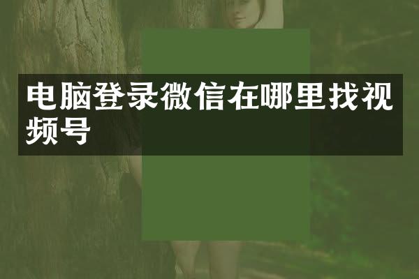 电脑登录微信在哪里找视频号