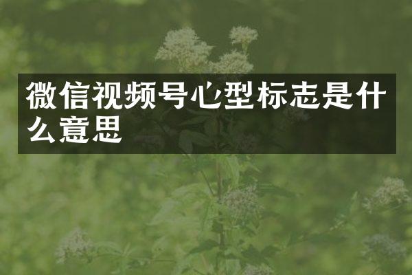 微信视频号心型标志是什么意思