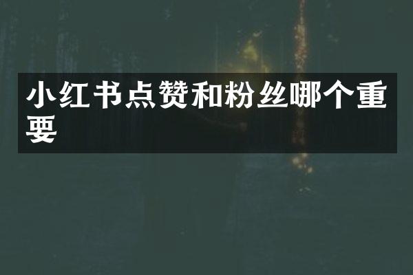 小红书点赞和粉丝哪个重要