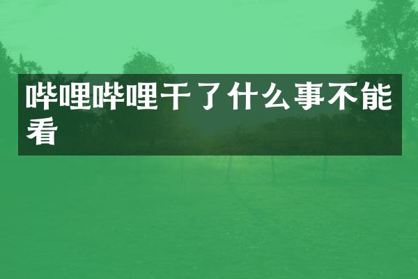 哔哩哔哩干了什么事不能看