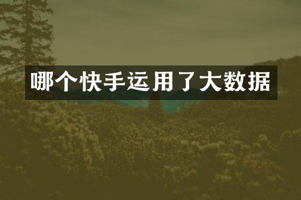 哪个快手运用了大数据