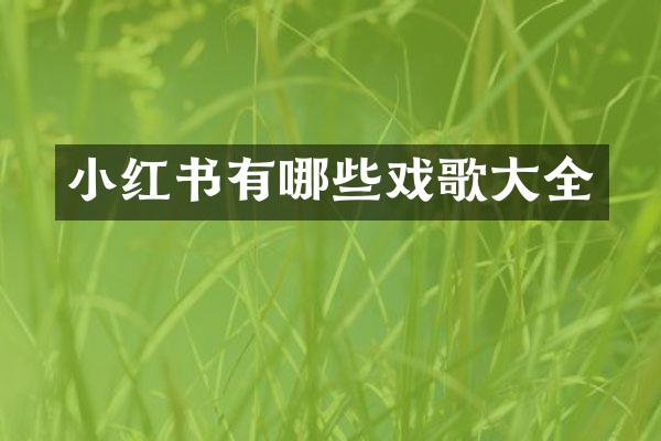 小红书有哪些戏歌大全
