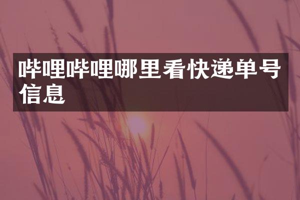 哔哩哔哩哪里看快递单号信息
