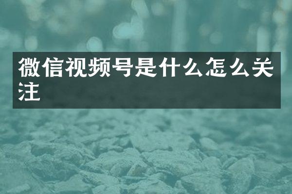 微信视频号是什么怎么关注