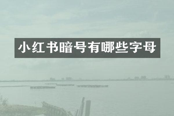 小红书暗号有哪些字母