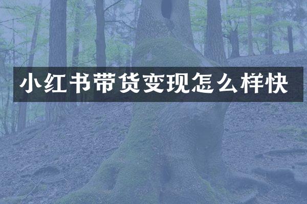 小红书带货变现怎么样快
