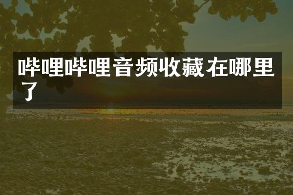 哔哩哔哩音频收藏在哪里了