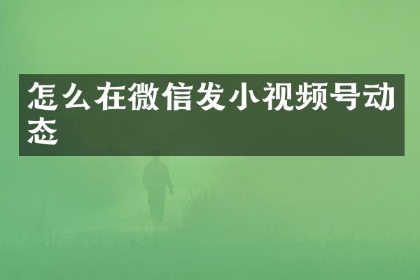 怎么在微信发小视频号动态