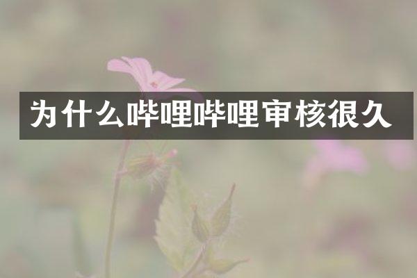 为什么哔哩哔哩审核很久