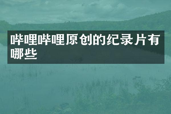 哔哩哔哩原创的纪录片有哪些