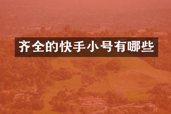 齐全的快手小号有哪些