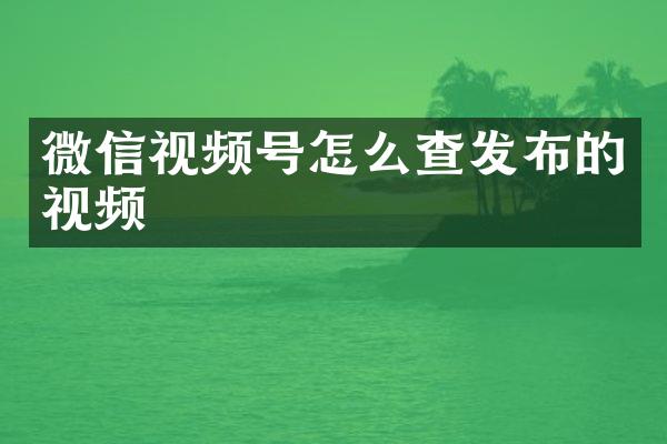 微信视频号怎么查发布的视频