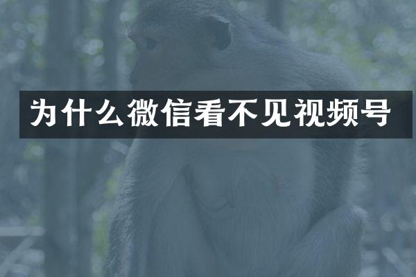 为什么微信看不见视频号