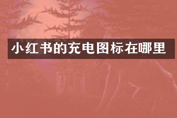小红书的充电图标在哪里
