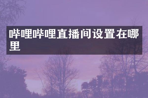 哔哩哔哩直播间设置在哪里