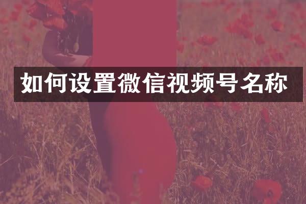 如何设置微信视频号名称