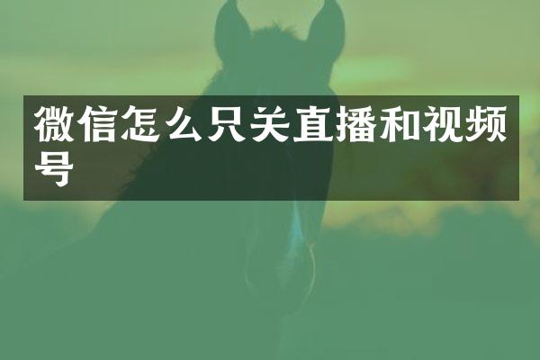 微信怎么只关直播和视频号
