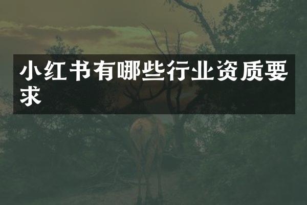 小红书有哪些行业资质要求