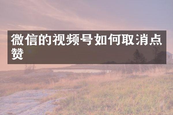 微信的视频号如何取消点赞