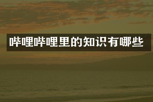 哔哩哔哩里的知识有哪些