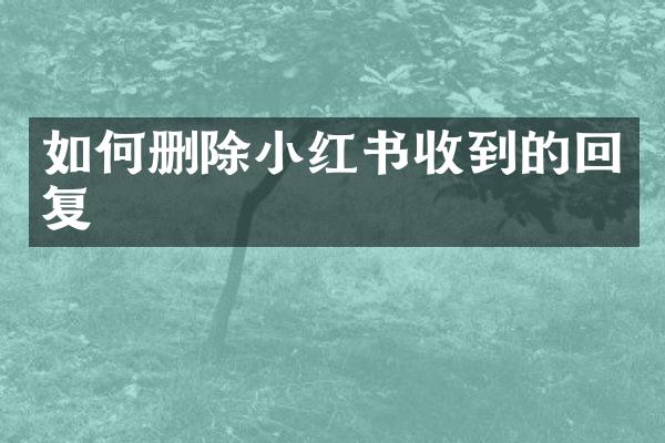 如何删除小红书收到的回复
