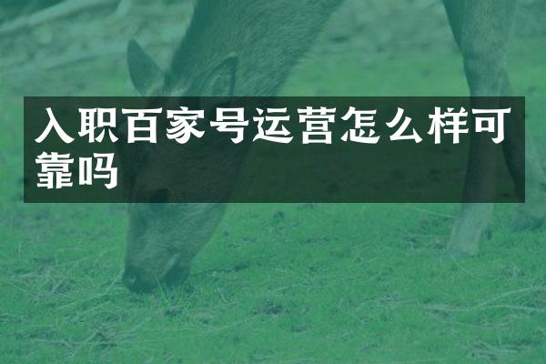 入职百家号运营怎么样可靠吗
