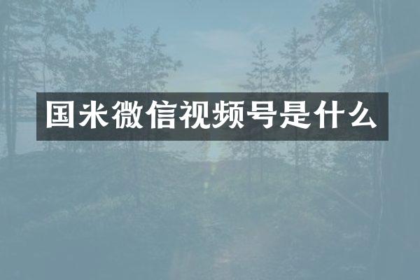 国米微信视频号是什么
