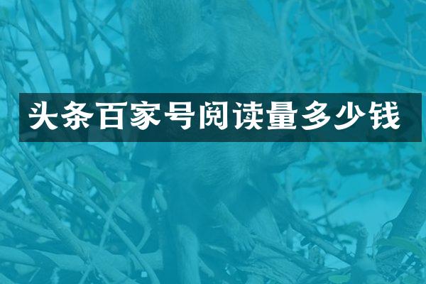 头条百家号阅读量多少钱