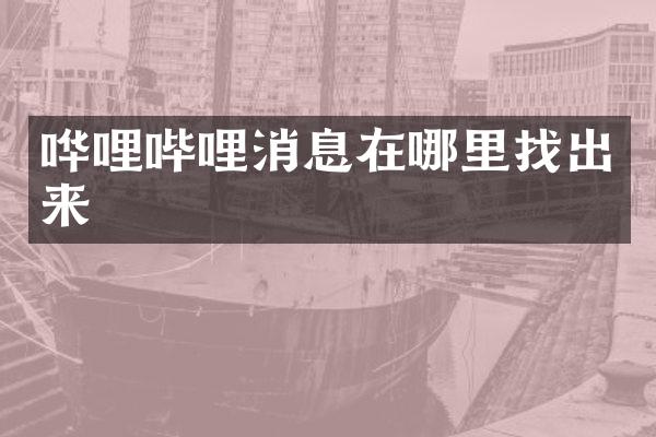 哗哩哔哩消息在哪里找出来