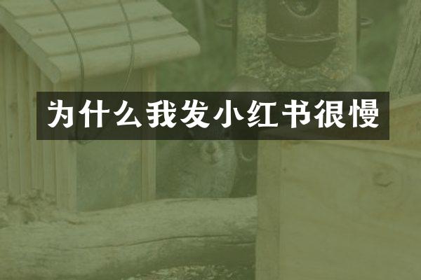 为什么我发小红书很慢