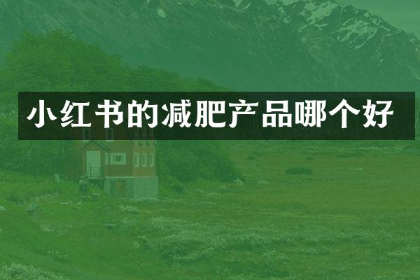 小红书的减肥产品哪个好