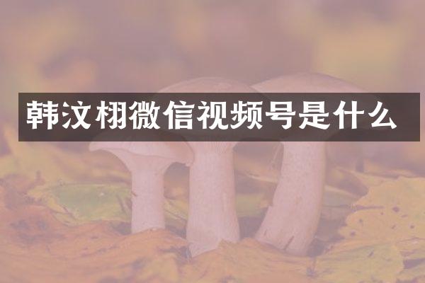 韩汶栩微信视频号是什么