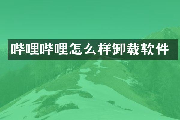哔哩哔哩怎么样卸载软件