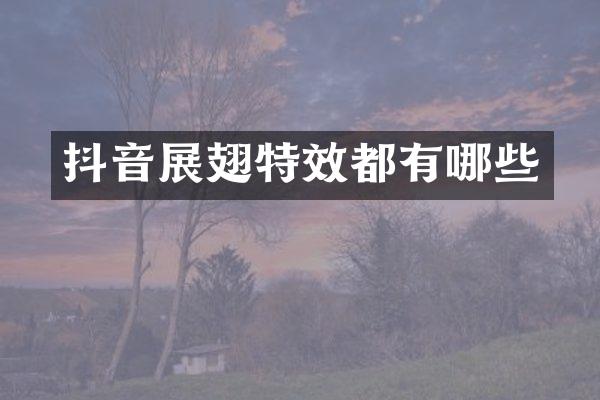 抖音展翅特效都有哪些