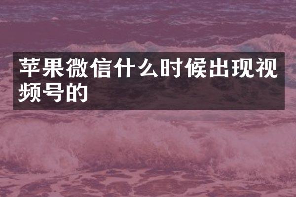 苹果微信什么时候出现视频号的