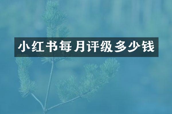 小红书每月评级多少钱