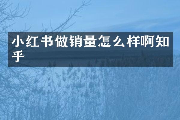 小红书做销量怎么样啊知乎