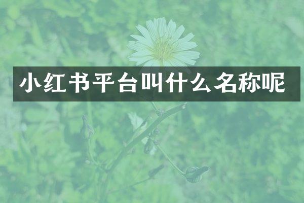 小红书平台叫什么名称呢