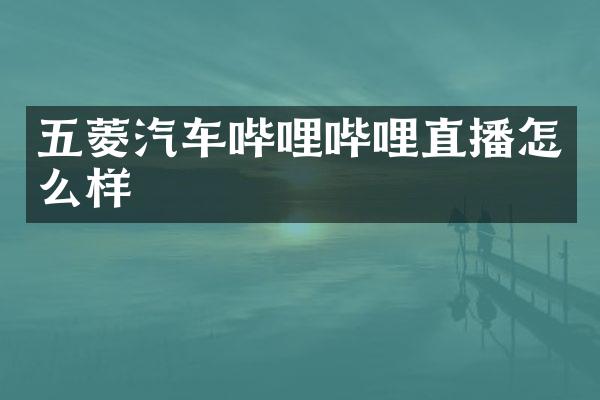 五菱汽车哔哩哔哩直播怎么样