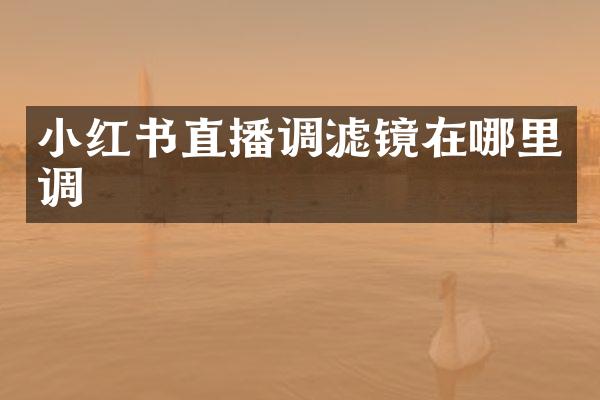 小红书直播调滤镜在哪里调