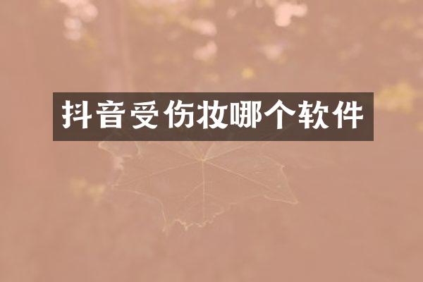 抖音受伤妆哪个软件
